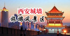 暴操熟妇的大黑逼中国陕西-西安城墙旅游风景区