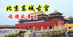 邻居少妇的小穴中国北京-东城古宫旅游风景区